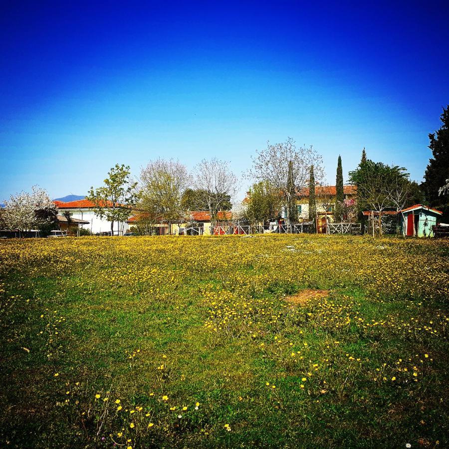 Cascina Corteprimavera, B&B Del Baliot Passirano Bagian luar foto