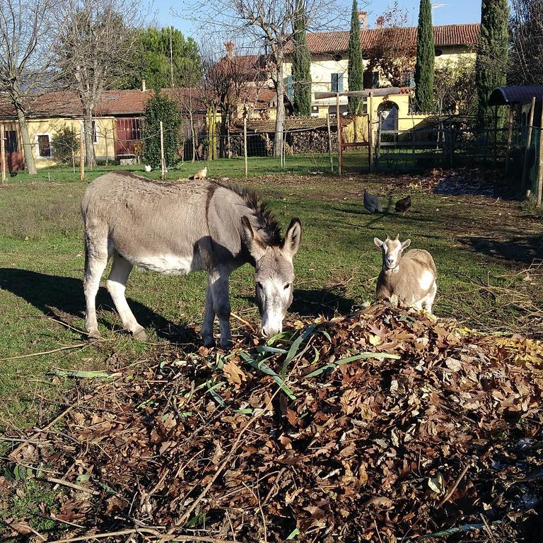 Cascina Corteprimavera, B&B Del Baliot Passirano Bagian luar foto