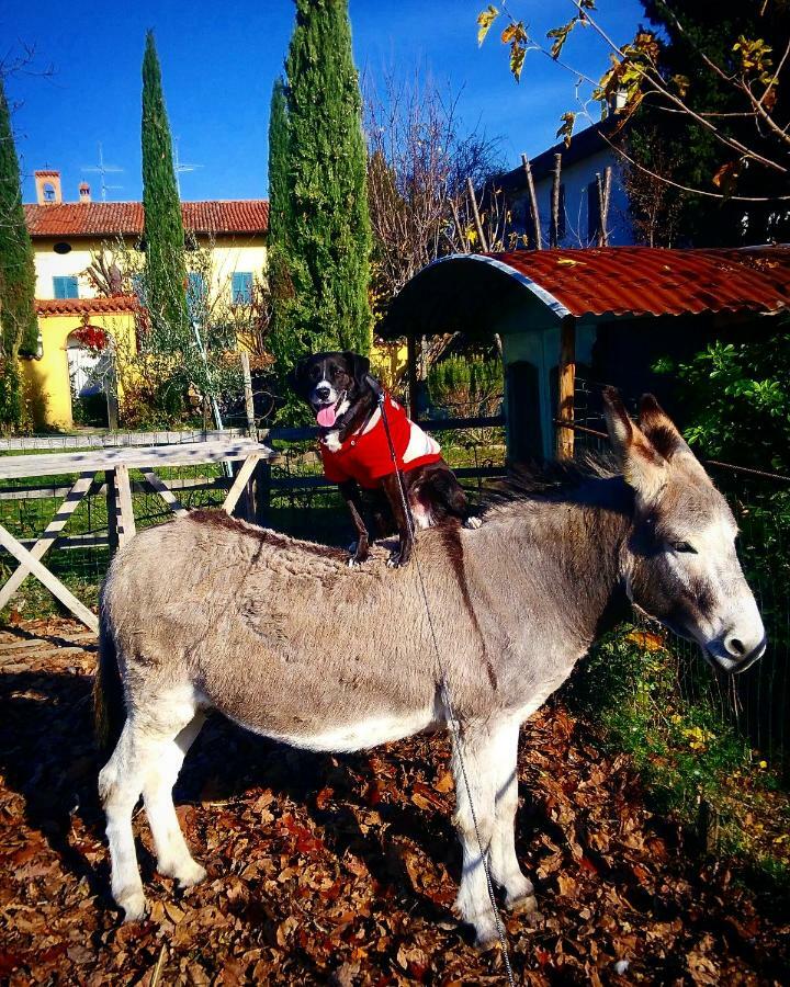 Cascina Corteprimavera, B&B Del Baliot Passirano Bagian luar foto